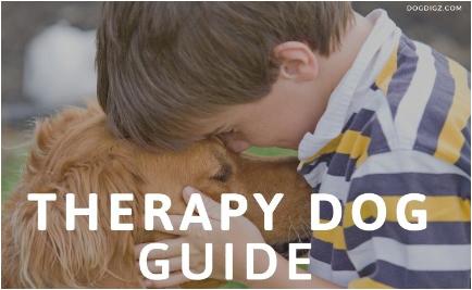 Therapy Dog Guide